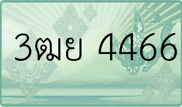 3ฒย 4466